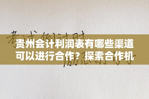 贵州会计利润表有哪些渠道可以进行合作？探索合作机会与具体实践