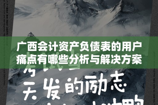 广西会计资产负债表的用户痛点有哪些分析与解决方案