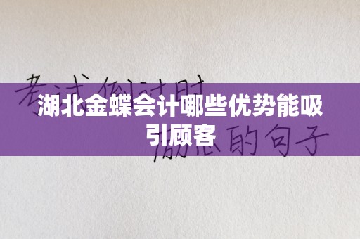 湖北金蝶会计哪些优势能吸引顾客