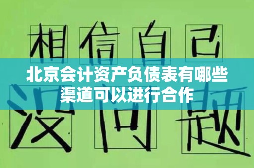 北京会计资产负债表有哪些渠道可以进行合作