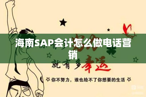 海南SAP会计怎么做电话营销