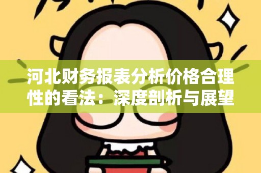 河北财务报表分析价格合理性的看法：深度剖析与展望
