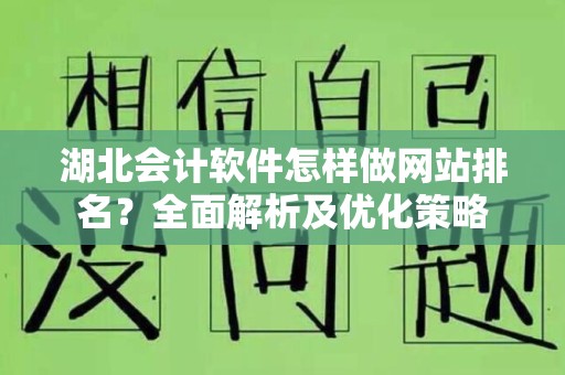 湖北会计软件怎样做网站排名？全面解析及优化策略