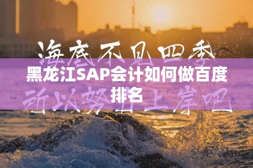 黑龙江SAP会计如何做百度排名