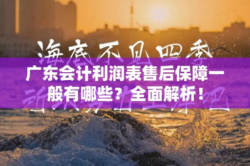 广东会计利润表售后保障一般有哪些？全面解析！