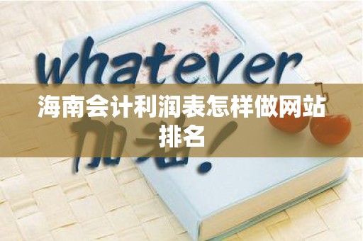 海南会计利润表怎样做网站排名