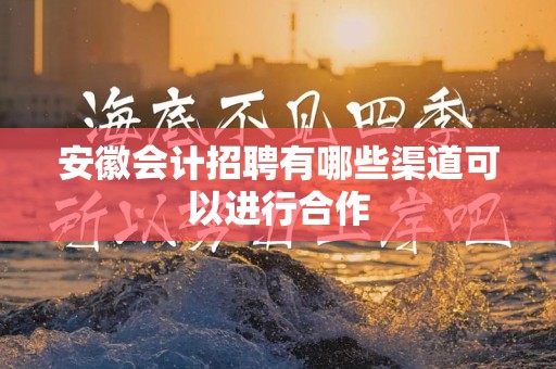 安徽会计招聘有哪些渠道可以进行合作