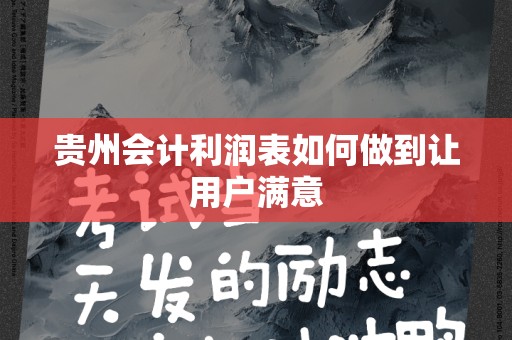 贵州会计利润表如何做到让用户满意