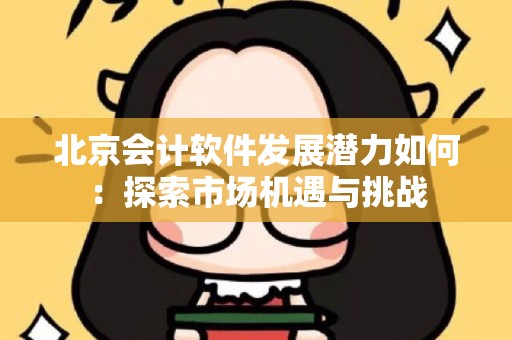 北京会计软件发展潜力如何：探索市场机遇与挑战