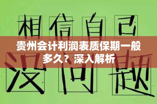 贵州会计利润表质保期一般多久？深入解析