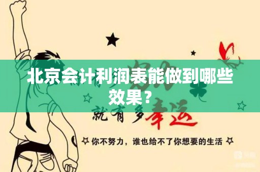 北京会计利润表能做到哪些效果？