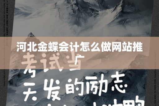河北金蝶会计怎么做网站推广