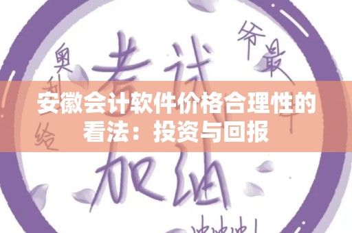 安徽会计软件价格合理性的看法：投资与回报