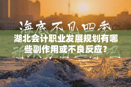 湖北会计职业发展规划有哪些副作用或不良反应？