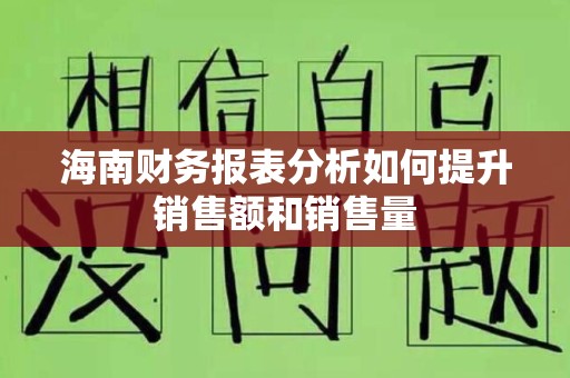 海南财务报表分析如何提升销售额和销售量