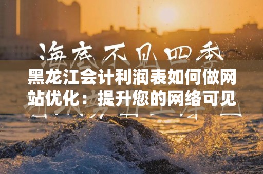 黑龙江会计利润表如何做网站优化：提升您的网络可见性