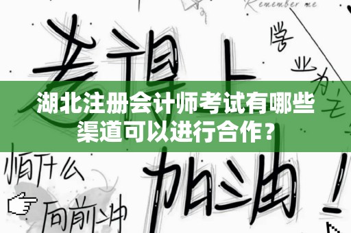 湖北注册会计师考试有哪些渠道可以进行合作？