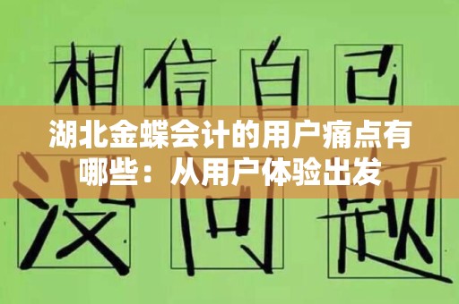 湖北金蝶会计的用户痛点有哪些：从用户体验出发
