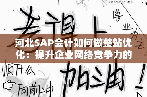 河北SAP会计如何做整站优化：提升企业网络竞争力的利器