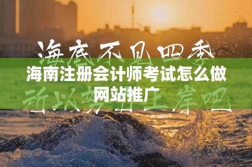 海南注册会计师考试怎么做网站推广