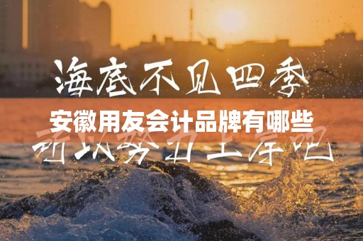 安徽用友会计品牌有哪些