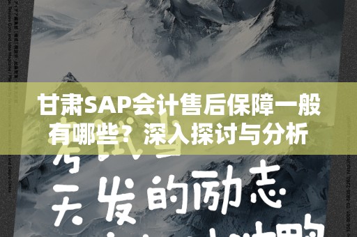 甘肃SAP会计售后保障一般有哪些？深入探讨与分析