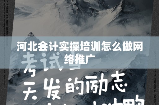 河北会计实操培训怎么做网络推广
