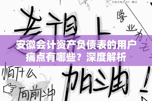 安徽会计资产负债表的用户痛点有哪些？深度解析