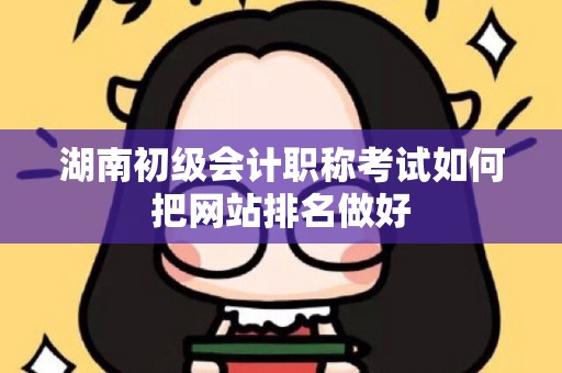 湖南初级会计职称考试如何把网站排名做好
