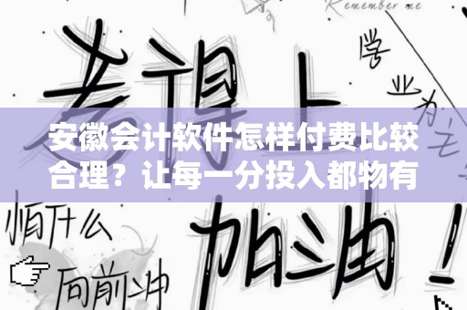 安徽会计软件怎样付费比较合理？让每一分投入都物有所值
