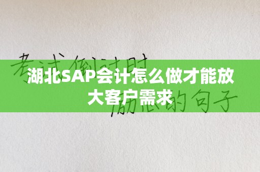 湖北SAP会计怎么做才能放大客户需求