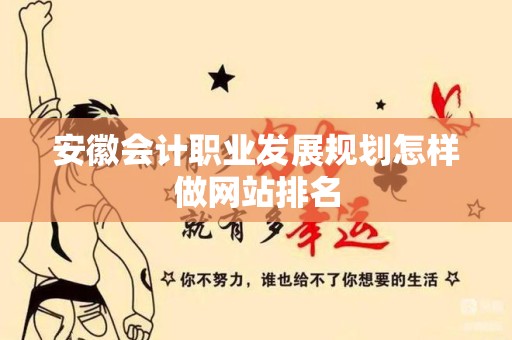 安徽会计职业发展规划怎样做网站排名
