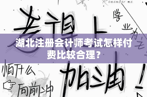 湖北注册会计师考试怎样付费比较合理？
