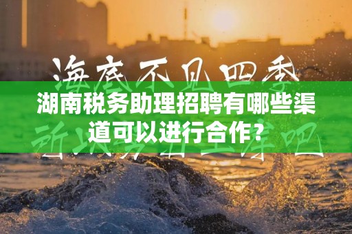 湖南税务助理招聘有哪些渠道可以进行合作？