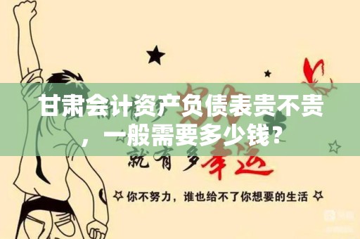 甘肃会计资产负债表贵不贵，一般需要多少钱？