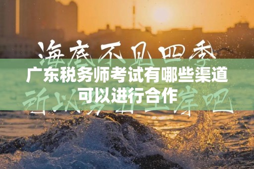 广东税务师考试有哪些渠道可以进行合作