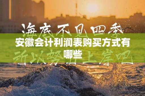 安徽会计利润表购买方式有哪些