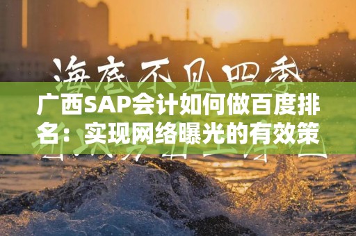 广西SAP会计如何做百度排名：实现网络曝光的有效策略