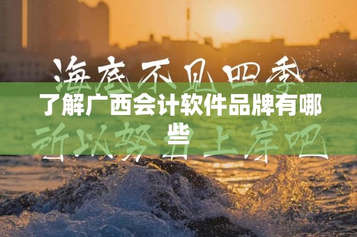 了解广西会计软件品牌有哪些