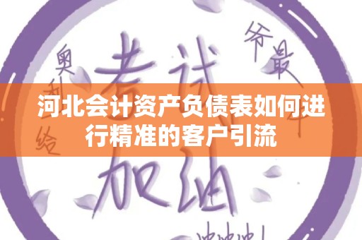 河北会计资产负债表如何进行精准的客户引流