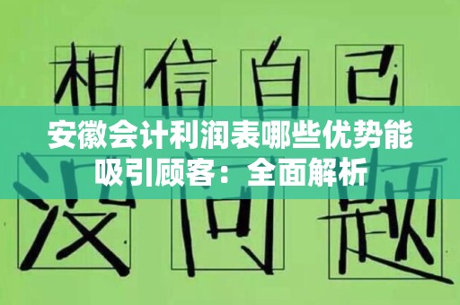 安徽会计利润表哪些优势能吸引顾客：全面解析