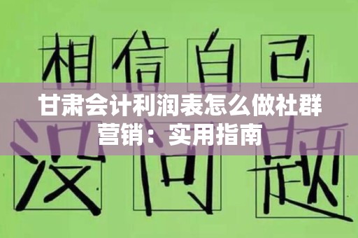 甘肃会计利润表怎么做社群营销：实用指南