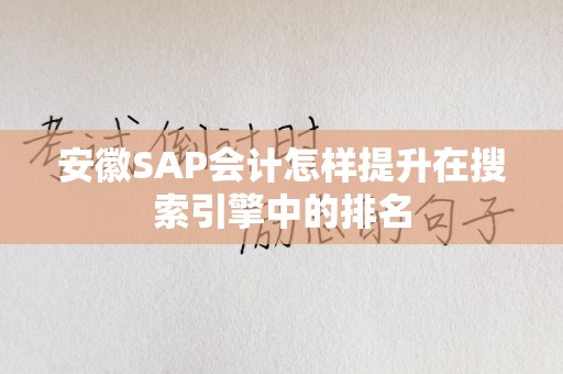安徽SAP会计怎样提升在搜索引擎中的排名