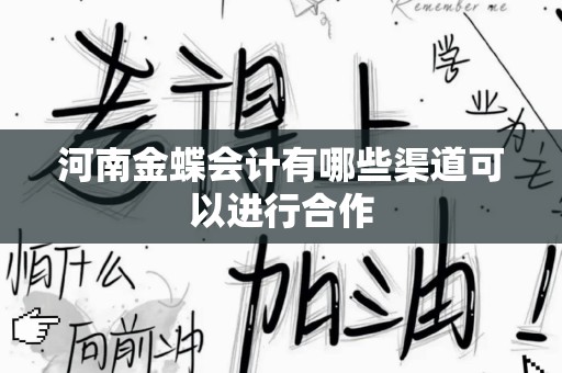 河南金蝶会计有哪些渠道可以进行合作