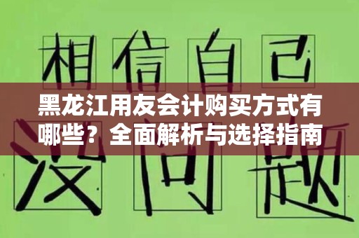 黑龙江用友会计购买方式有哪些？全面解析与选择指南