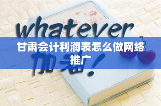 甘肃会计利润表怎么做网络推广