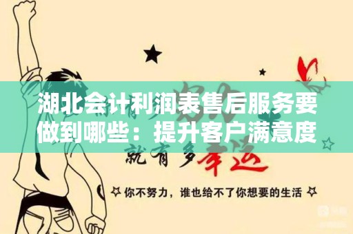 湖北会计利润表售后服务要做到哪些：提升客户满意度与服务质量