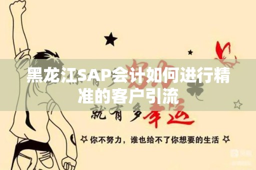 黑龙江SAP会计如何进行精准的客户引流