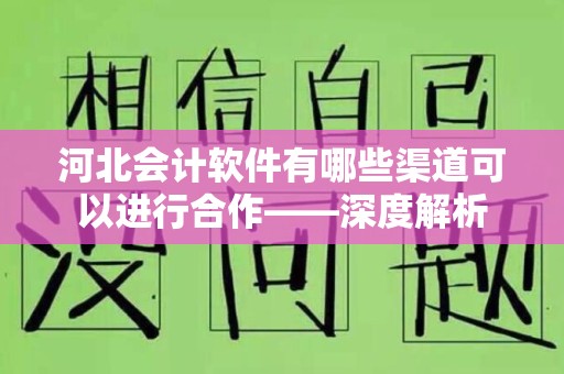 河北会计软件有哪些渠道可以进行合作——深度解析