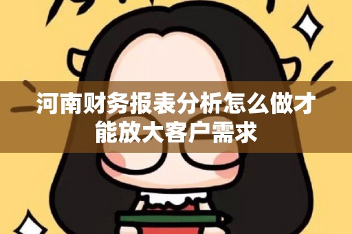 河南财务报表分析怎么做才能放大客户需求